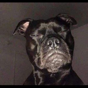 Meet your Posher, Terry